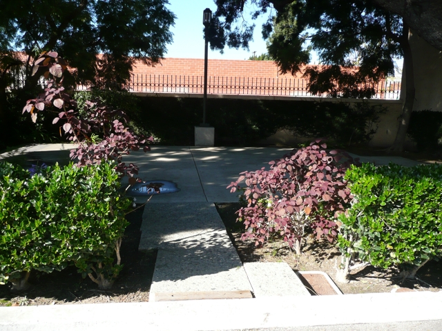 image08 (1)